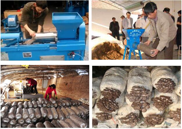 mushroom bagging machine (2)