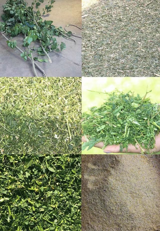 Grass rub silk machine (2)
