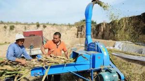 Farm use waste crop cutter for livestock chaff cutter machine